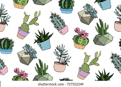 Collection of cacti and succulents in modern pots
