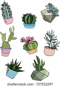 Collection of cacti and succulents in modern pots