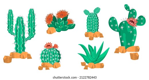 Collection of cacti and succulents in realistic style,front view.Six plants are surrounded by stones.Vector 3D illustrations are isolated on white background.Design for social media,prints,posters.
