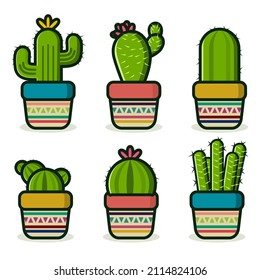 a collection of cacti with various types