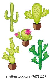 collection cactus