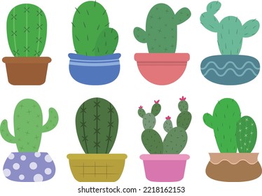 Collection of cactus element Illustration, lovely plant decoration material. 