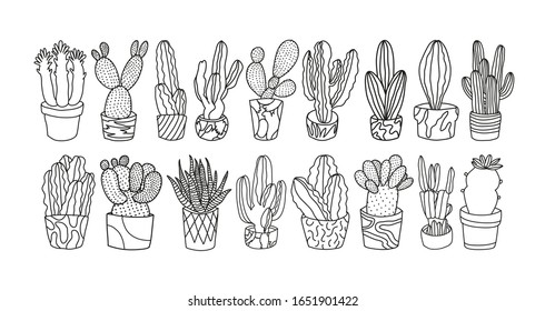Collection of cactus illustrations in vector. Line drawing of plants in pots. Depiction of houseplants. Line art.