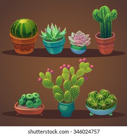 Collection of cactus and other succulent in flower pot. Vector set.