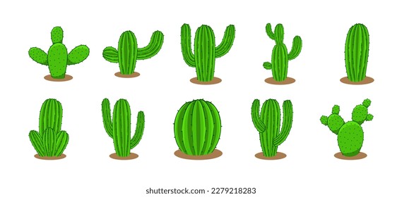 Collection of Cactus Plant Vector Designs