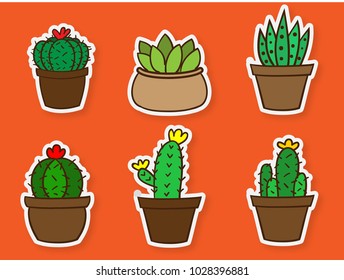 collection of cactus plants in flat sticker style, wild botany tropical  - vector illustration