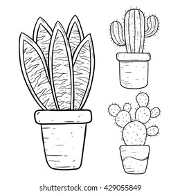 Collection of Cactus in Pot With Hand Drawing or Doodle Style