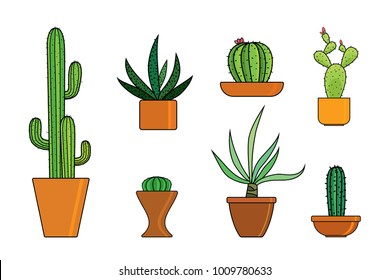 Collection of cactus in pots isolated on white background. Vector houseplants