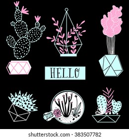Collection of  cactus and succulents on black background. Vector set with succulents flowers, concrete pots and glass terrariums. Vector illustration.