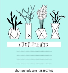 Collection of cactus and succulents. Vector set with succulents flowers, concrete pots and glass terrariums. Vector illustration. Design card.