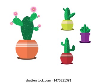 Collection of  cactuses in flower pot isolated on white background.