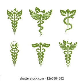 Collection of Caduceus illustrations composed with poisonous snakes and bird wings, healthcare conceptual vector symbols. Alternative medicine theme.