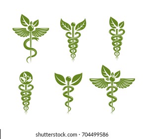 Collection of Caduceus illustrations composed with poisonous snakes and bird wings, healthcare conceptual vector illustrations. Alternative medicine theme.