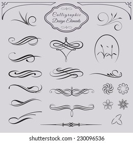 Collection of calligraphic and decorative design patterns in vector format.