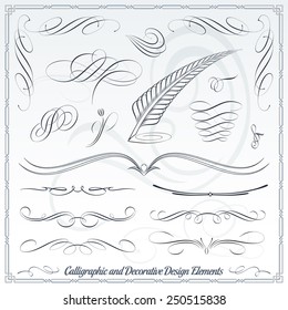 Collection of calligraphic and decorative design patterns, embellishments in vector format. 