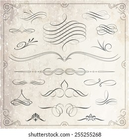 Collection of calligraphic and decorative design patterns in vector format