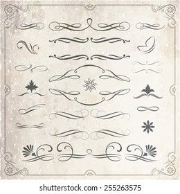 Collection of calligraphic and decorative design patterns in vector format