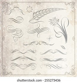 Collection of calligraphic and decorative design patterns, embellishments in vector format. 