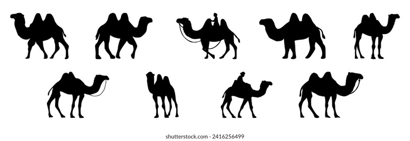 Colección del icono Camel. Camel Silhouette
