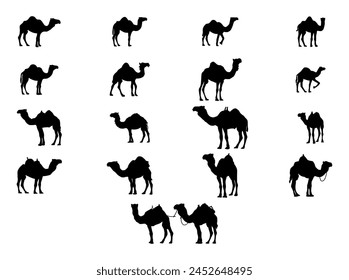 Collection of Camel icon. Camel Silhouette
