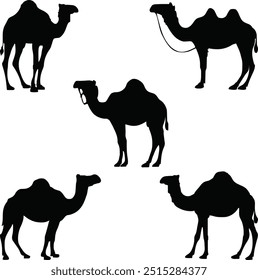 Colección de silueta de camello en diferentes poses