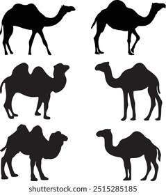 Collection of camel silhouette in different poses