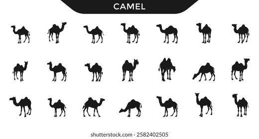 A collection of  camel silhouettes in various poses. Ideal for wildlife and desert-themed designs.
