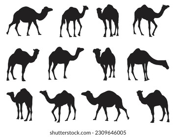 Collection of camels silhouettes set vector illustration