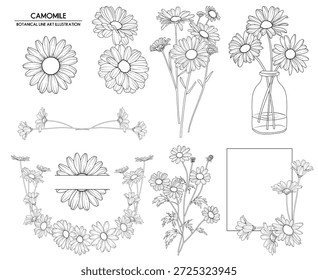 Kollektion von Kamillenblumen und dekorativen Elementen, handgezeichnete botanische Linien-Zeichnung, Vektorblumen-Linien-Kunst-Illustration für Hochzeit, Logo, Werbung, Verpackung