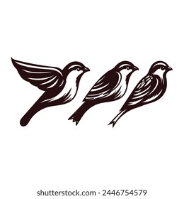 Collection of Canary Robin Sparrow Bird , Black White Style. Vector Illustration