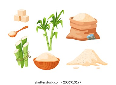 Collection of cane sugar. Sugarcane products. Growing sweet plants on plantation. Manufacturing packaging natural organic harvest. Package with cube and dry loose delicious carbohydrate cartoon vector