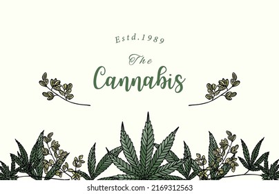 Colección de fondo de cannabis con código verde.Ilustración vectorial editable para sitio web, invitación, postal y pegatina