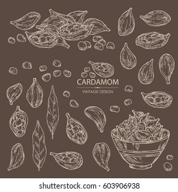 Collection of cardamom: seeds, leaves and a plate with seeds cardamom. hand drawn