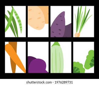 Collection of cards with bright fresh vegetables. Vector illustration of posters of healthy eco food.
