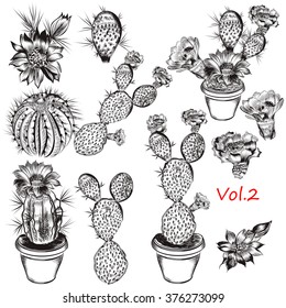 A collection of carefully hand drawn cactus in engraved style for design