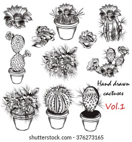 A collection of carefully hand drawn cactus in engraved style