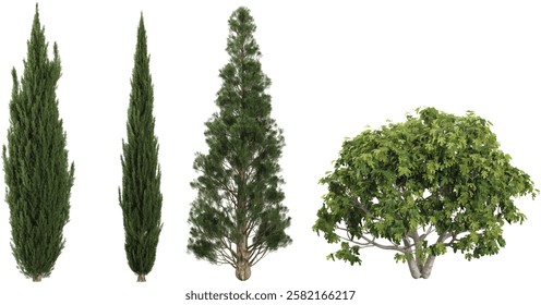 Collection of carica,sempervirens trees on transparent background