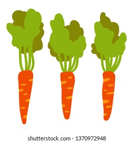 Collection of carrots in the style of flat design isolated on white background. Vector illustration