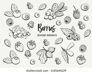 Collection Of Cartoon Berries. Vector Illustration. Set Berry Icons.Black Outline. Isolated.Web Icon Hand Drawn In Doodle Style.Design Elements.