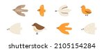 Collection of cartoon birds isolated on white background. Set of flying and sitting abstract birds. Collection of decorative design elements. Flat vector illustration.