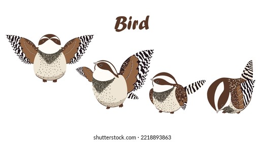 Collection cartoon cactus Wren bird designed with cute and simple style. Bird's flight gesture. Arizona logo. A bird from Arizona on a cactus. Single vector illustration on white background.