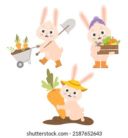 Collection of cartoon characters rabbit farmers. Cute bunny in rubber boots with crop, with garden wheelbarrow and shovel, collects carrots from garden. Vector illustration for cards, design and decor