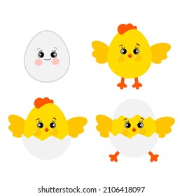 A collection of cartoon chickens. Cute chick character set vector drawn illustration isolated on white background. The chicken hatches from the egg. Chicken roost. Cute farm animals