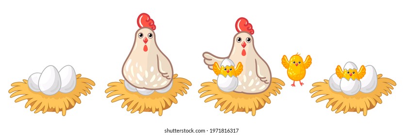 A collection of cartoon chikens. Cute chick character set vector drawn illustration isolated on white background. The chicken hatches from the egg. Chicken roost. Cute farm animals