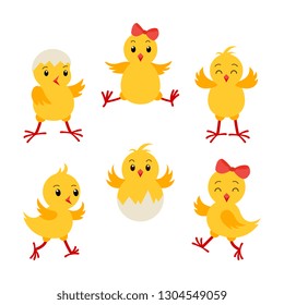 Collection cartoon chikens for easter design. Cute chick character set.