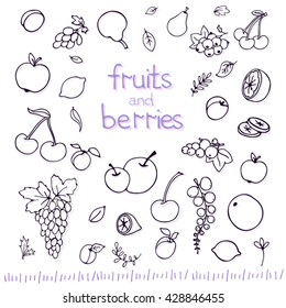 Collection of cartoon fruits and berries. Vector illustration. Set of fruit and berry icons.outline. Isolated.Web icon hand drawn in doodle style.Design elements