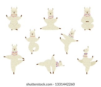 Collection cartoon funny cute llama alpaca practicing yoga position. 