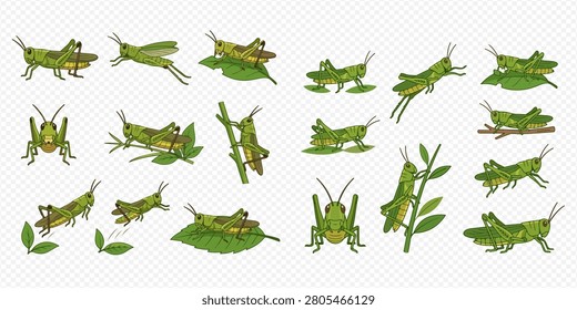 A collection of cartoon grasshoppers in various poses, including sitting, jumping, and resting on leaves and branches, depicted in a flat vector style.