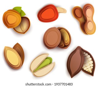 Collection cartoon icon nuts in layer paper cut 3d style isolated on white background. Hazelnut, peanut, walnut, almond, pistachio, cashew, cocoa pod. Vector colorful element.