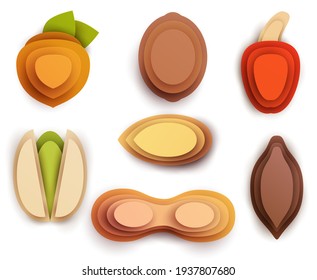 Collection cartoon icon nuts in layer paper cut 3d style isolated on white background. Hazelnut, peanut, walnut, almond, pistachio, cashew, cocoa pod. Vector colorful element.